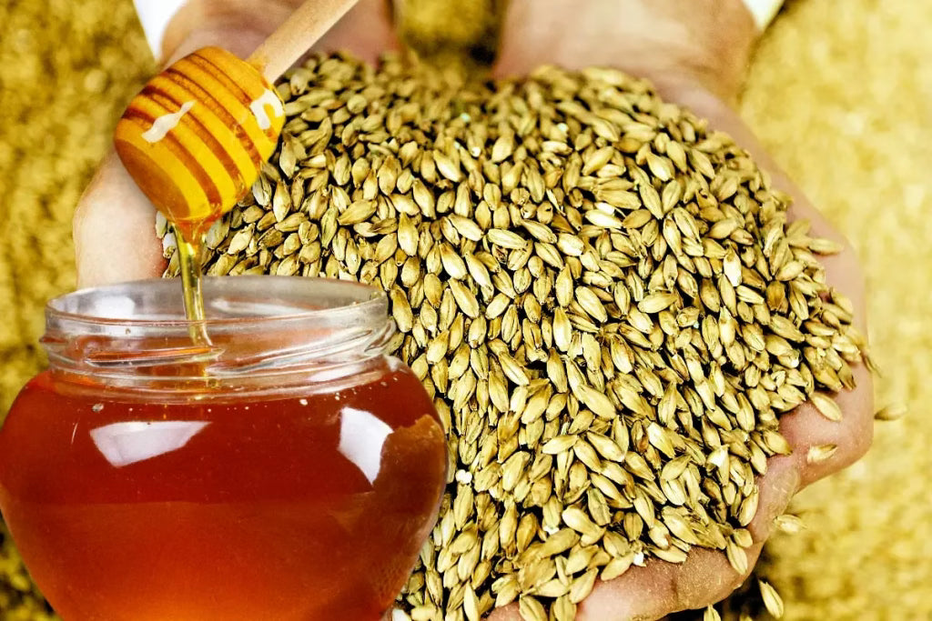Braggot: A Tale of Honey and Malts
