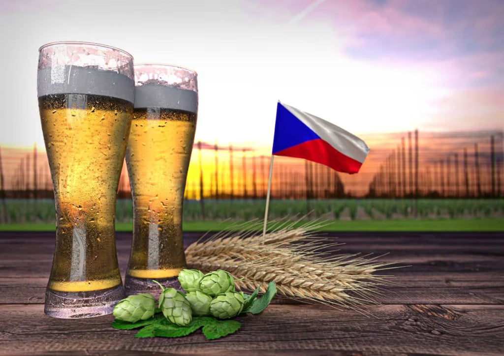 A story of three pilsners: Czech, German, and American