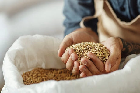 What do you need from your malts to survive trends and turmoil?
