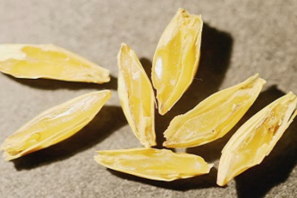 What is Dextrin Malt and Why Should I Use It?