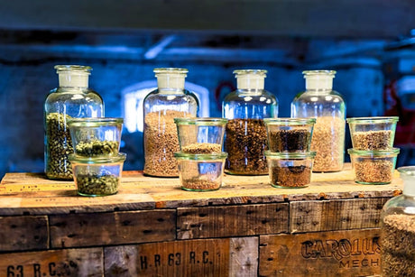 Why breweries should be talking more about malt, part 3: Craft Beer Superfans