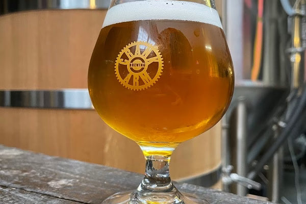 Brew Your Best Session IPA