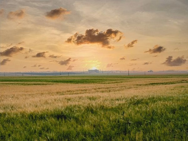 Pre-Harvest Sprouting in Barley and Its Impact on Malt Quality and Brewing Performance