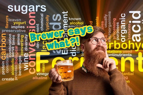 Brewer says what?! Beer and brewing terms you might not know