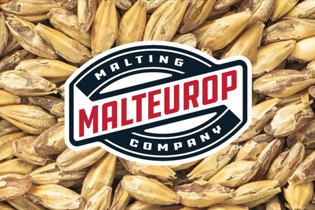 MMC Dextrin Malt: Not all dextrins are created equal