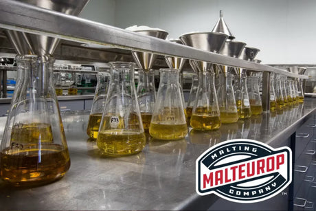 Malt Sensory: Understanding the Canvas of Beer
