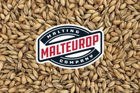 Malt Spotlight: Pilsen
