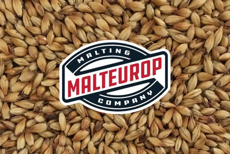 Malt Spotlight: Steamed C40