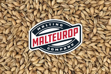 Malt Spotlight: French Pilsen Base Malt