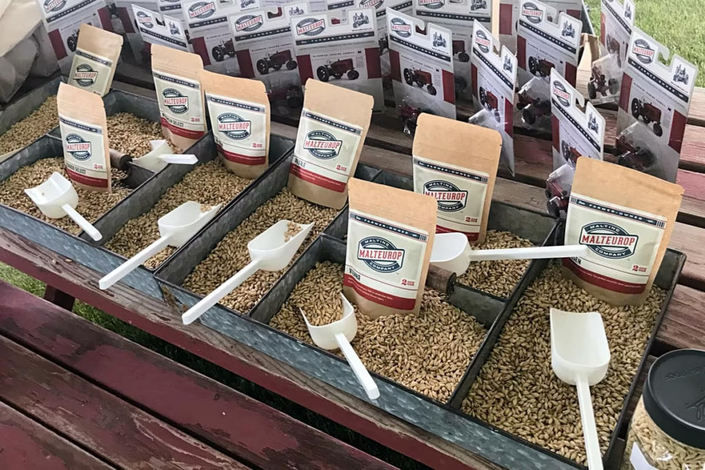 Malt Sensory Evaluation: The Hot Steep Method