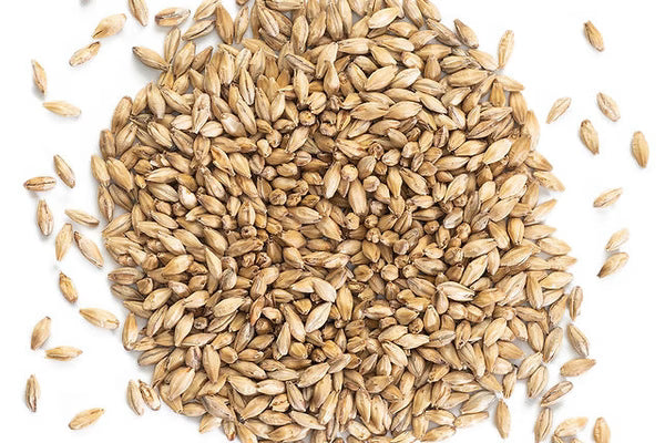 Malting Fun Fact - Evolution of North American Malt COA