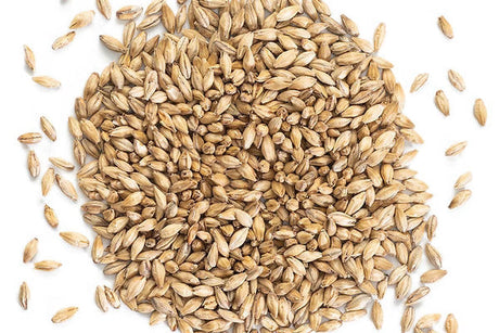 Malting Fun Fact - Evolution of North American Malt COA