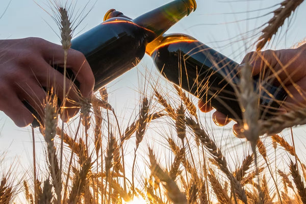 Beer Style Fun Facts: Saisons