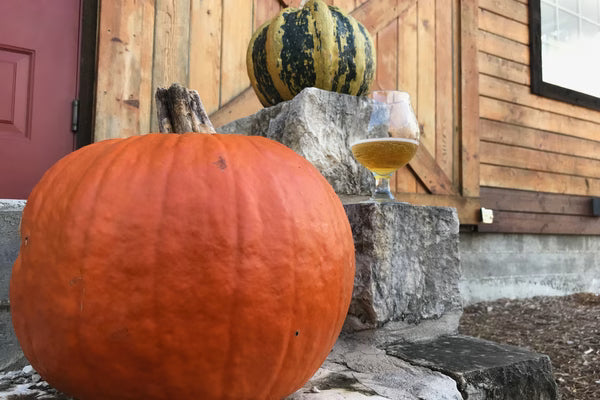 Pumpkin Beer: Crafting a Colonial Quaff Comeback