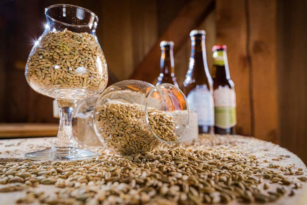 Why breweries should be talking more about malt