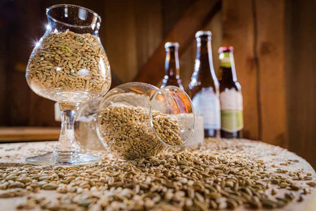 Why breweries should be talking more about malt
