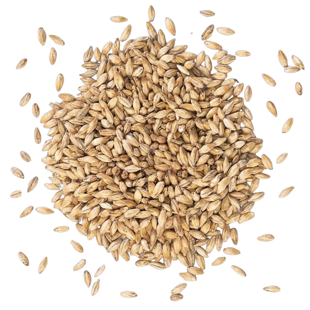 Base Malts
