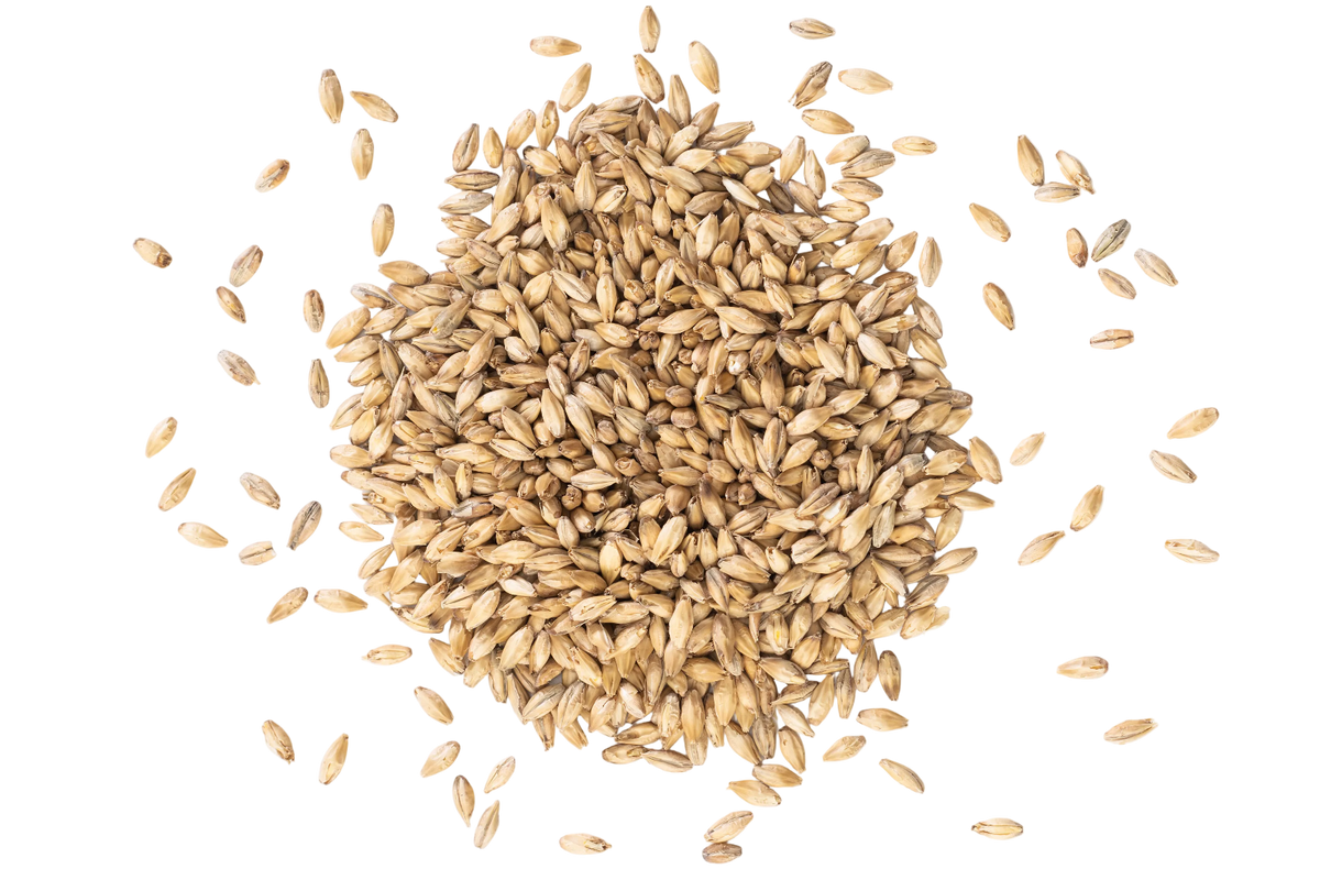 Chit Malt