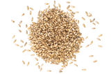 Chit Malt