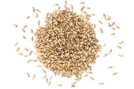 Chit Malt