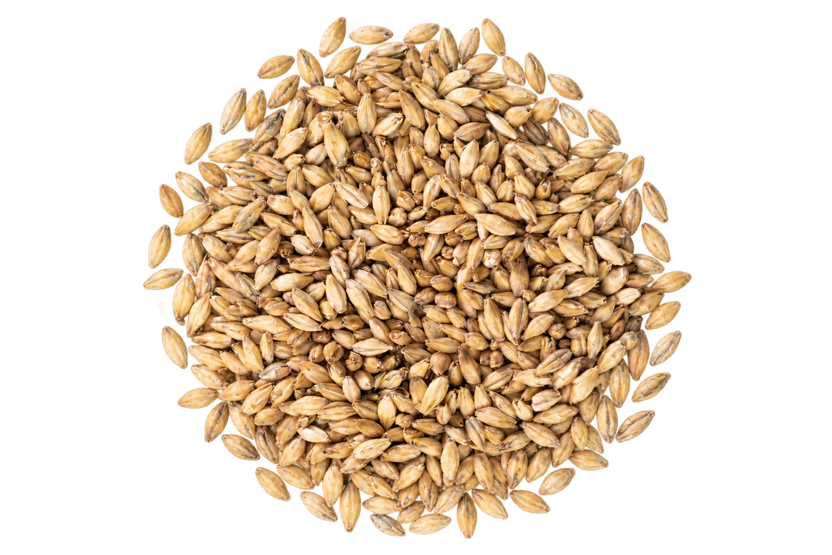 Chit Malt