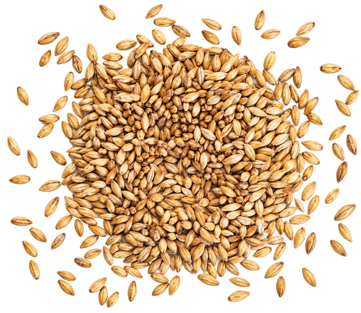 Pot Still Malt